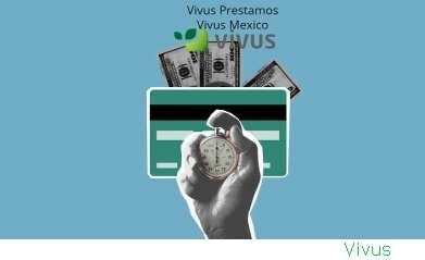 Vivus Direccion